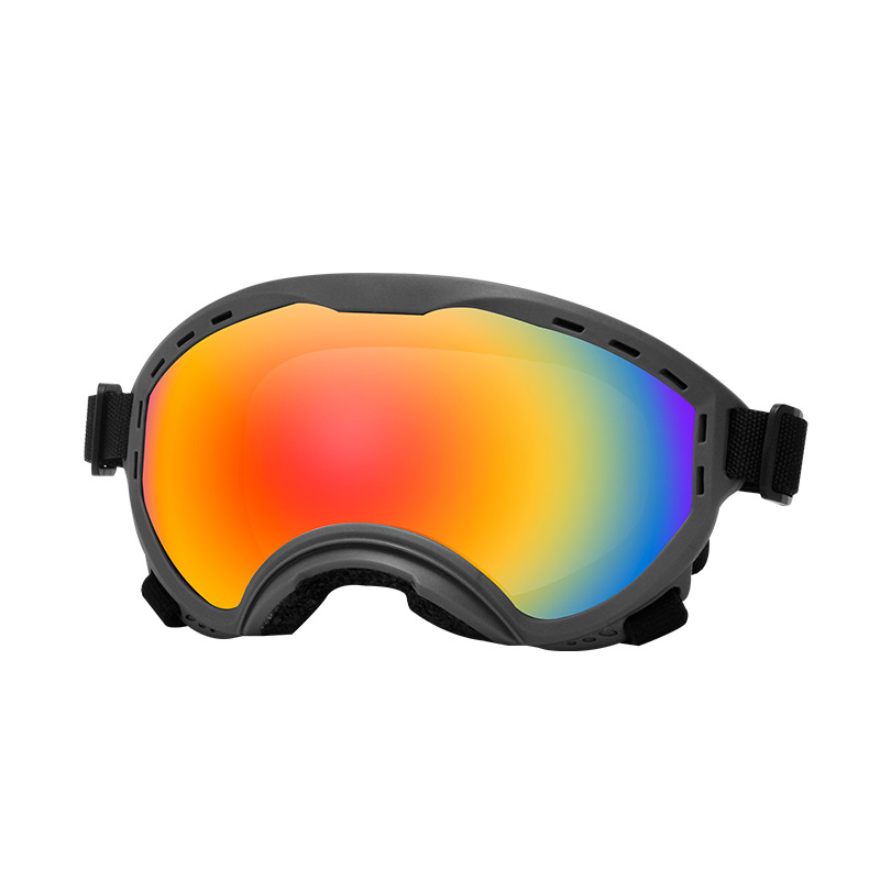 Travel Accessories Ideas - Okulary dla zwierząt, ochrona przed wiatrem,
